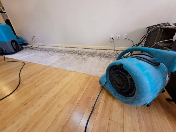 Professional Water Extraction technician working in Milbridge, ME